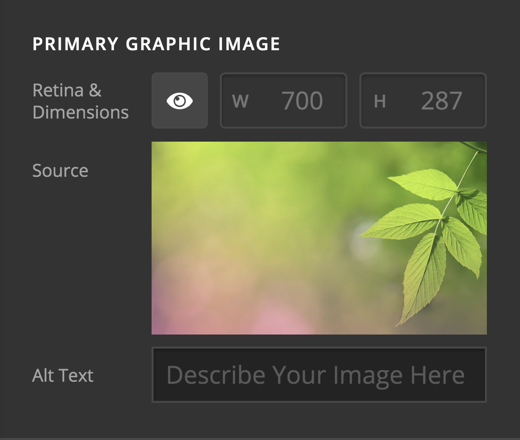 Headline Primary Graphic Image