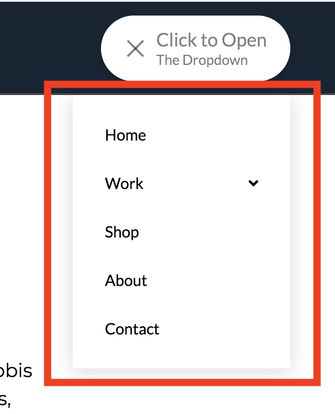 Navigation Dropdown Example