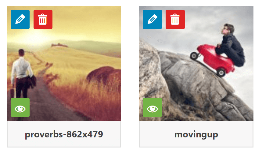 Envira Gallery Item Removal