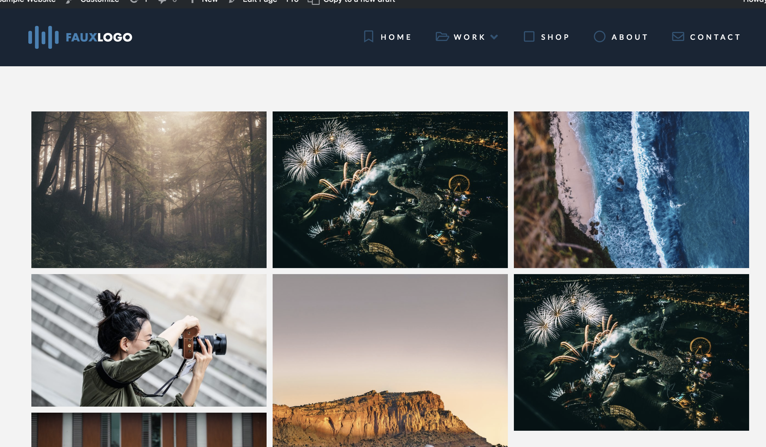 Envira Gallery Example