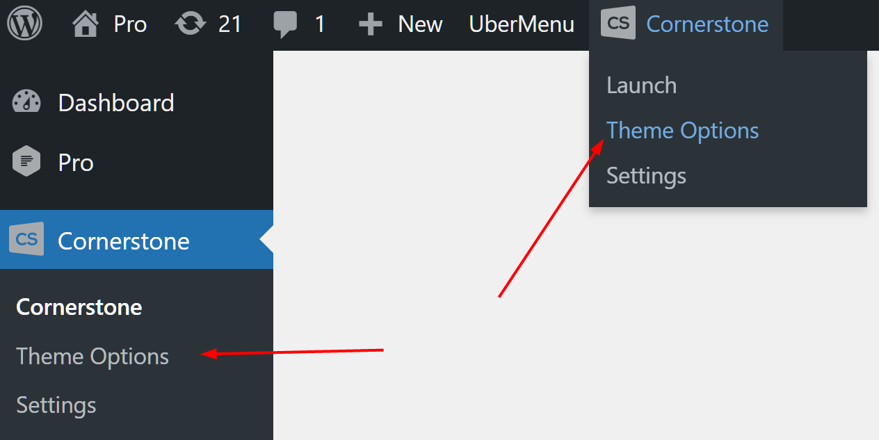 X / Pro Theme Options Menu