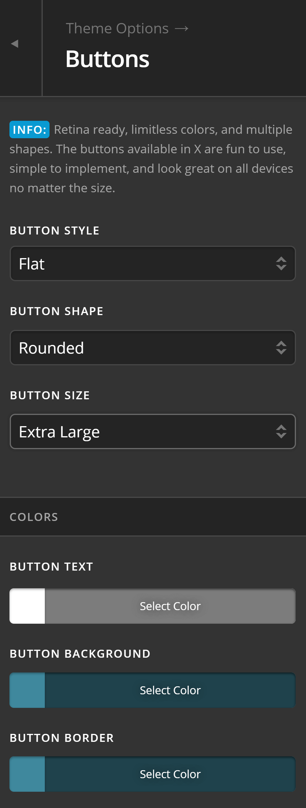 Theme Options Button Settings