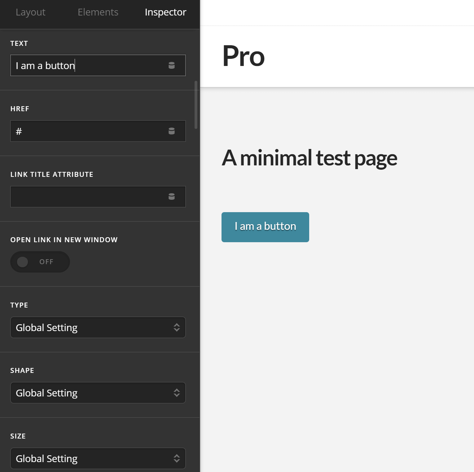 Theme Options Button Text