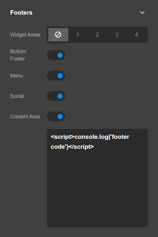 Theme Options Footer
