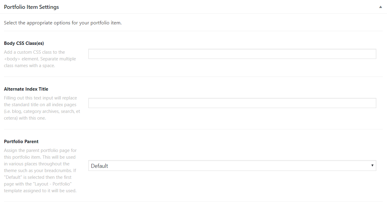 WordPress Portfolio Item Settings