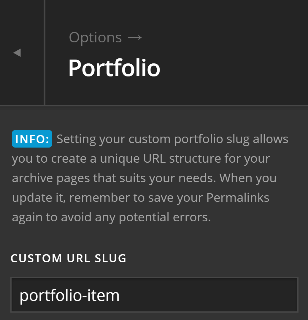 Theme Options Portfolio