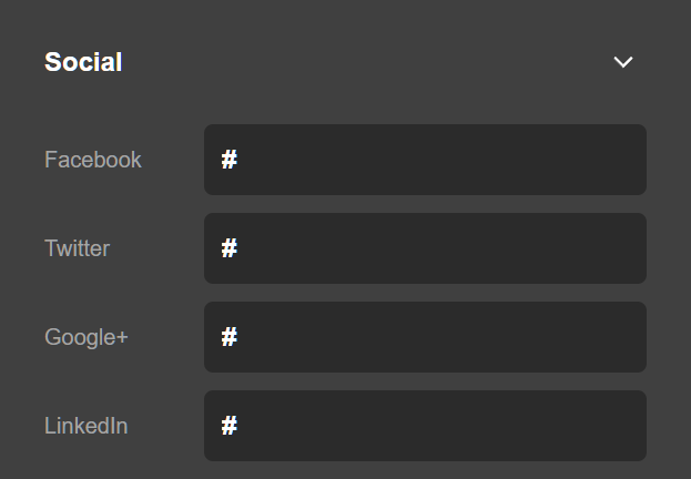 Theme Options Social